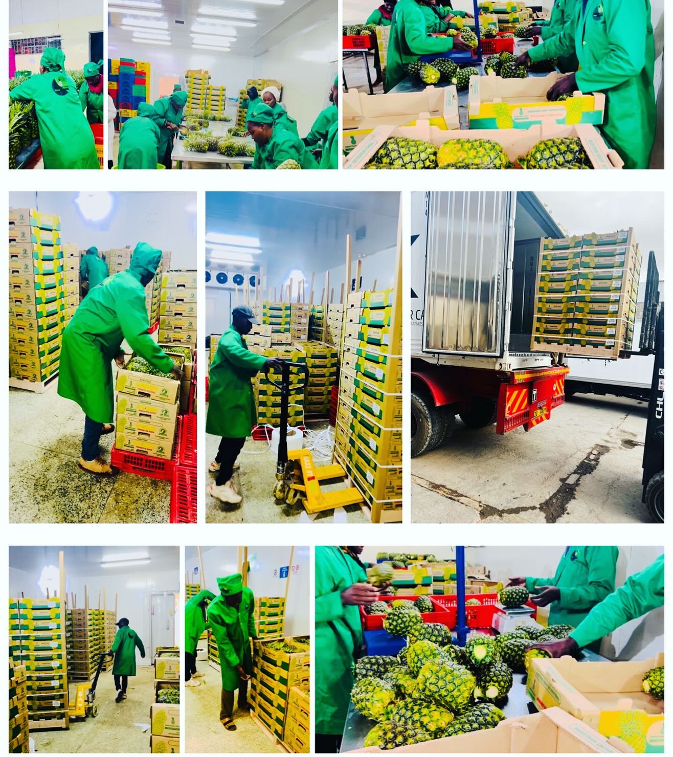 production