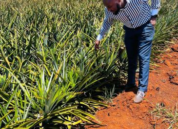 farm inspection
